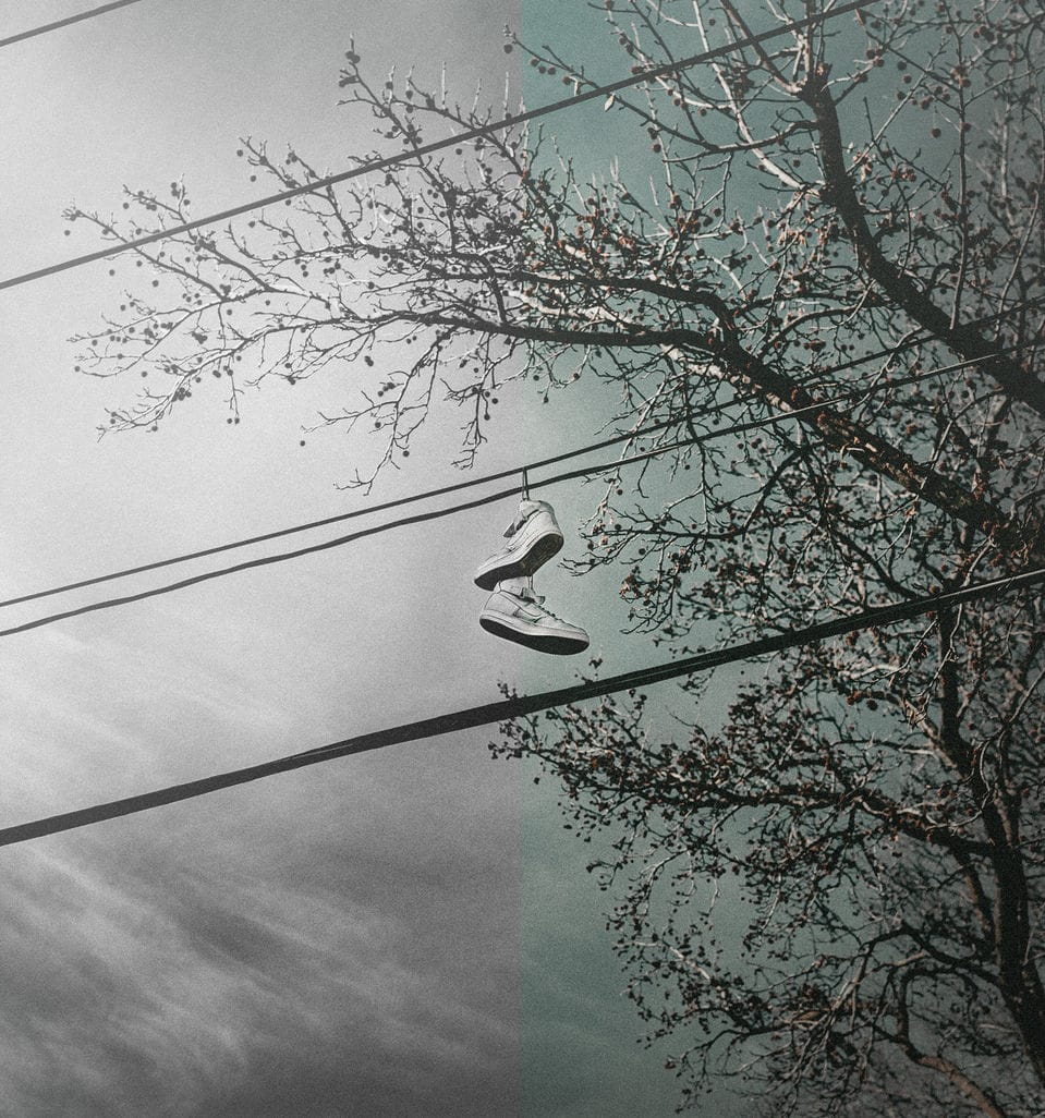 Pair of sneakers hanging from power lines beside bare winter branches, teal-toned sky